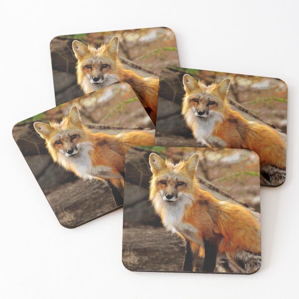 Item preview, Fox #6 designed and sold by KingdomWildlife.