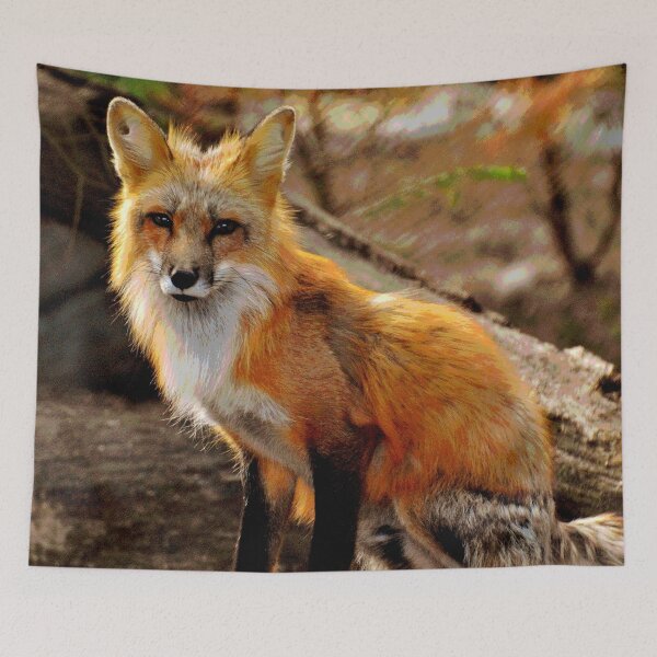 Item preview, Fox #6 designed and sold by KingdomWildlife.