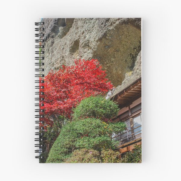 Item preview, Temple 45 - Iwayaji - Shrine in the cliff designed and sold by Japaholic.