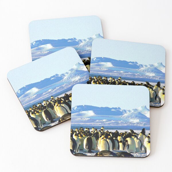 Artikelvorschau, Pinguine in freier Wildbahn entworfen und verkauft von KingdomWildlife.