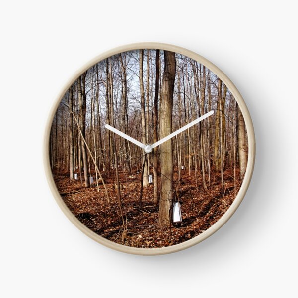 Sugar Bush Clock