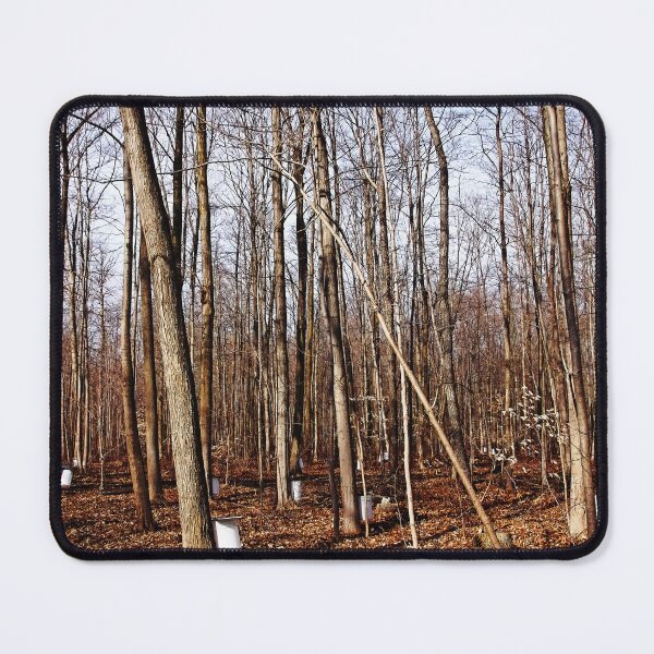 Item preview, Maple Bush designed and sold by Debbie Oppermann.