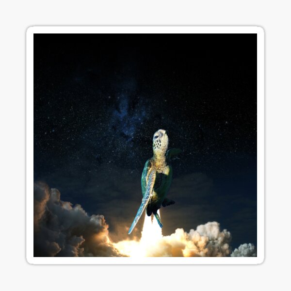 Item preview, Turtle Liftoff designed and sold by Legeonarios.