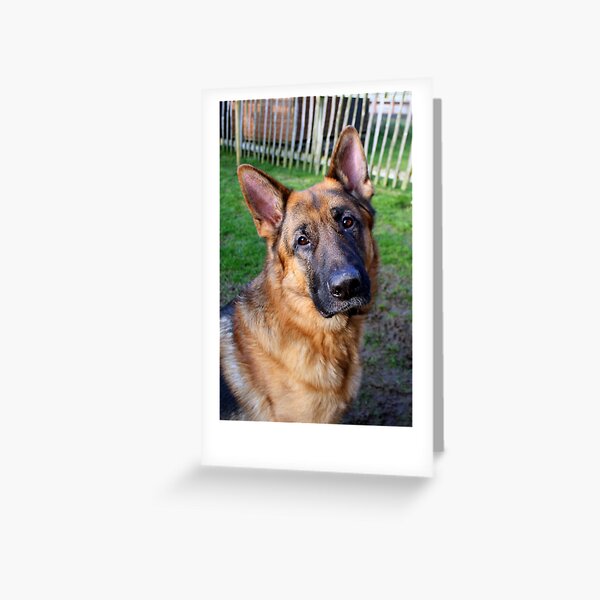 Keeloh 33 Greeting Card
