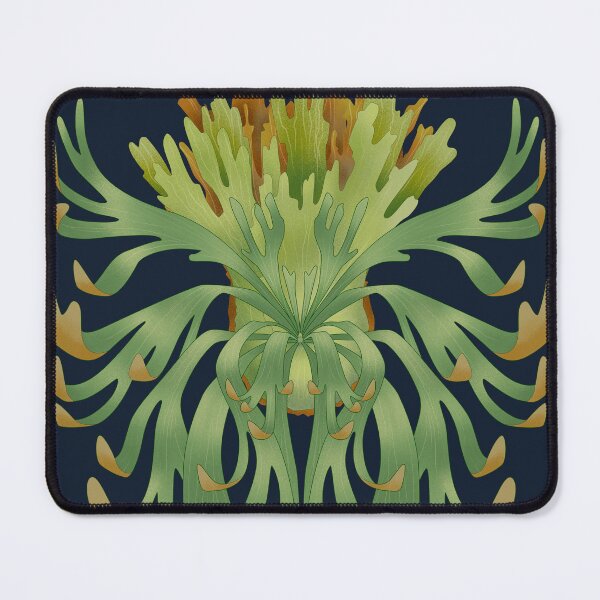 Item preview, staghorn fern - platycerium wilinckii designed and sold by farhanfatich.