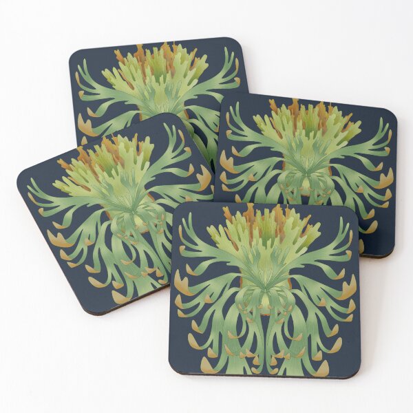 Item preview, staghorn fern - platycerium wilinckii designed and sold by farhanfatich.