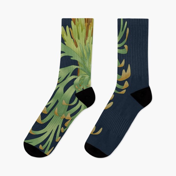 Item preview, staghorn fern - platycerium wilinckii designed and sold by farhanfatich.