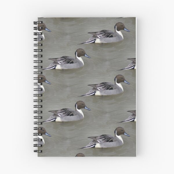 Item preview, Pintail (pattern) designed and sold by Yampimon.