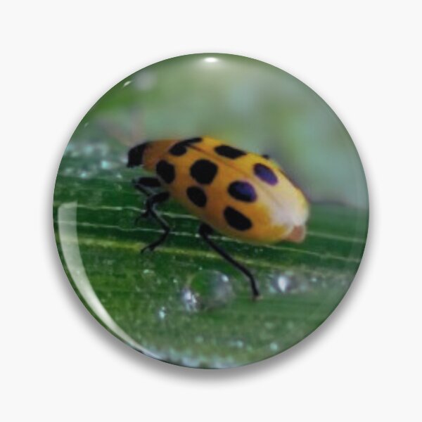 Item preview, Nature's Micro Architecture: The Beauty of Bugs designed and sold by D-Ink-Creation.