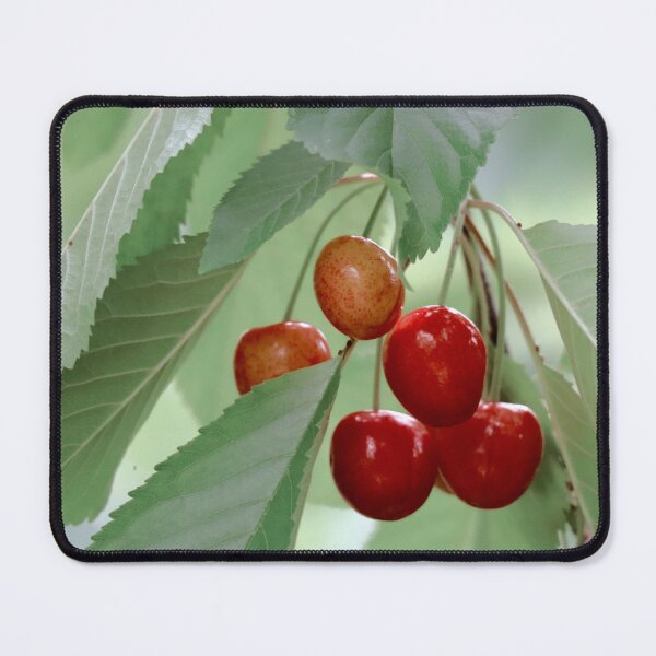 Item preview, Fresh Cherries designed and sold by mathilde3333.