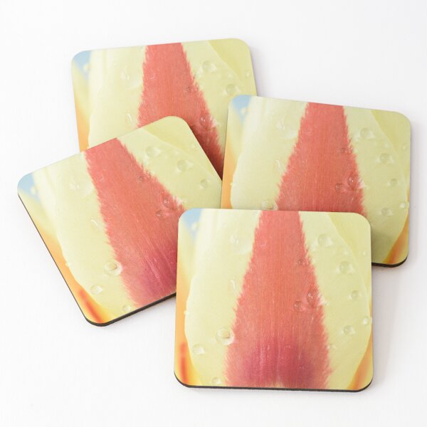 Item preview, Tulipa 'Gluck'  Kaufmanniana  Tulip designed and sold by Chris Burrows.