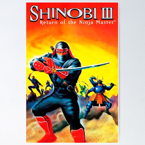 RETURN OF THE NINJA 写真 Return of the Ninja (GBC) – Limited Run Games