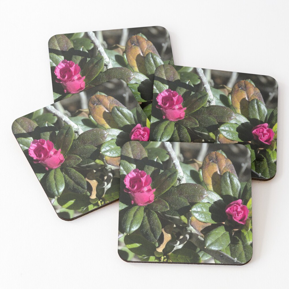 Item preview, Coasters (Set of 4) designed and sold by MercerImages.