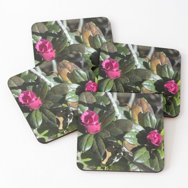 Item preview, Red Rhododendron  designed and sold by MercerImages.
