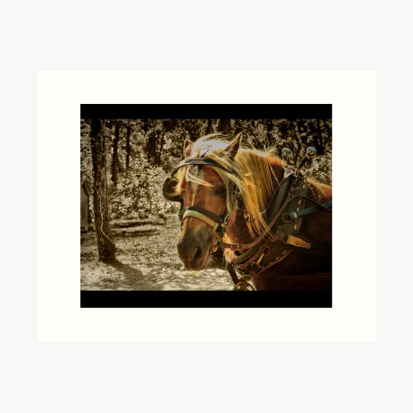 The Work Horse Art Print