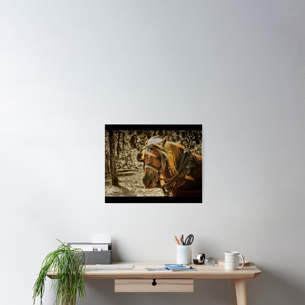 Item preview, Poster designed and sold by believer9.