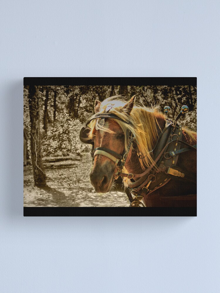 Thumbnail 1 of 3, Canvas Print, The Work Horse designed and sold by believer9.