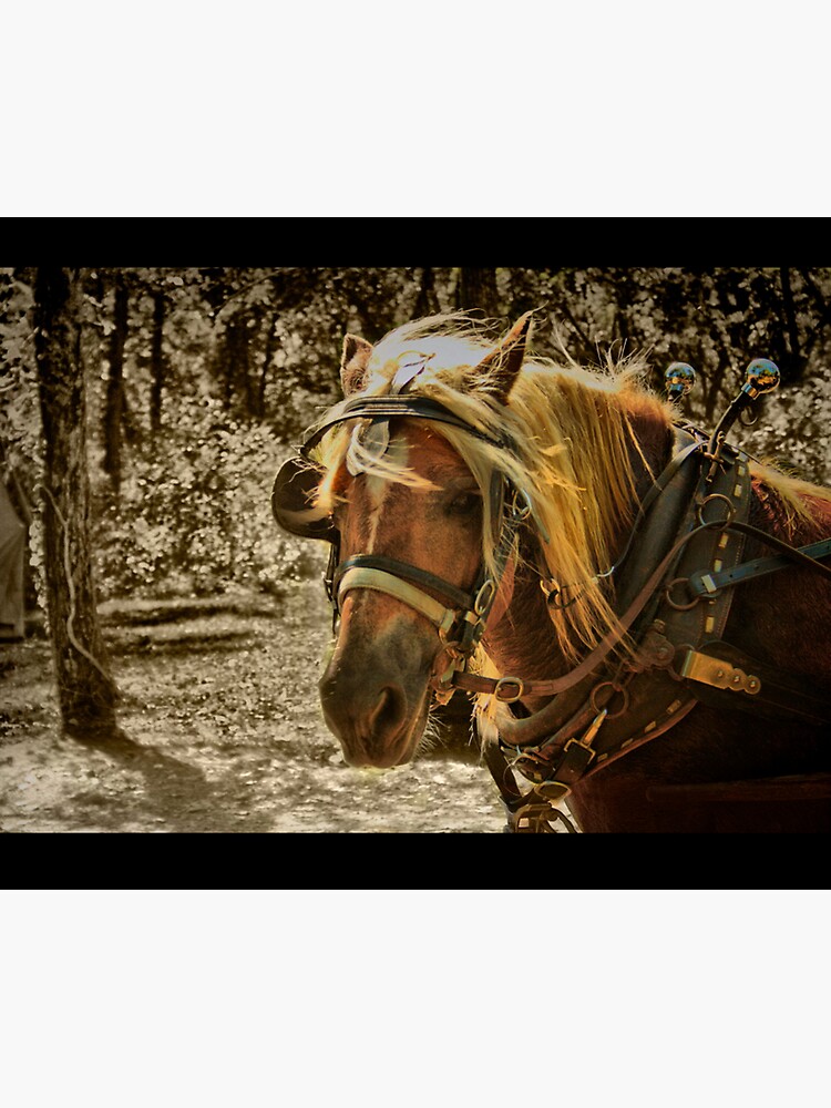 Thumbnail 3 of 3, Canvas Print, The Work Horse designed and sold by believer9.