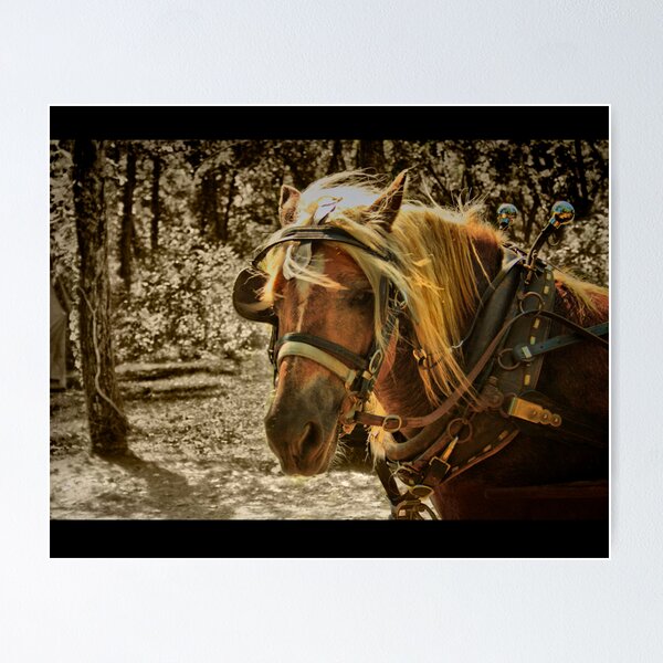 The Work Horse Poster