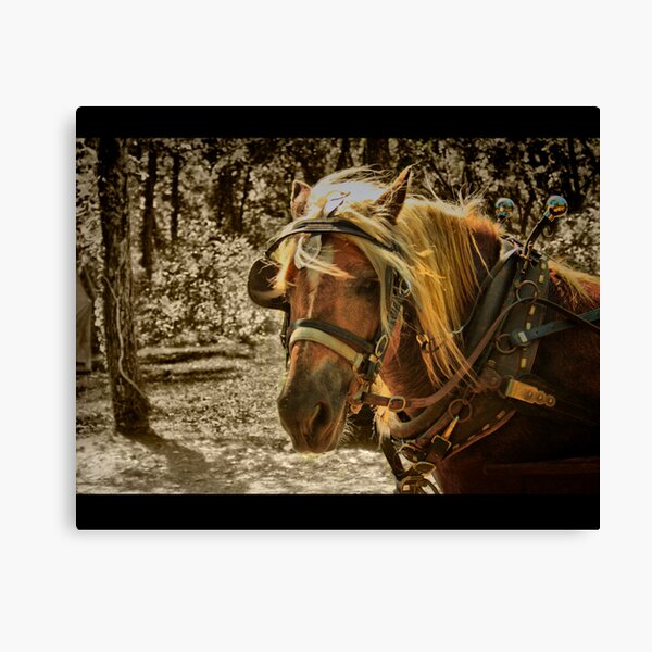 Canvas Print