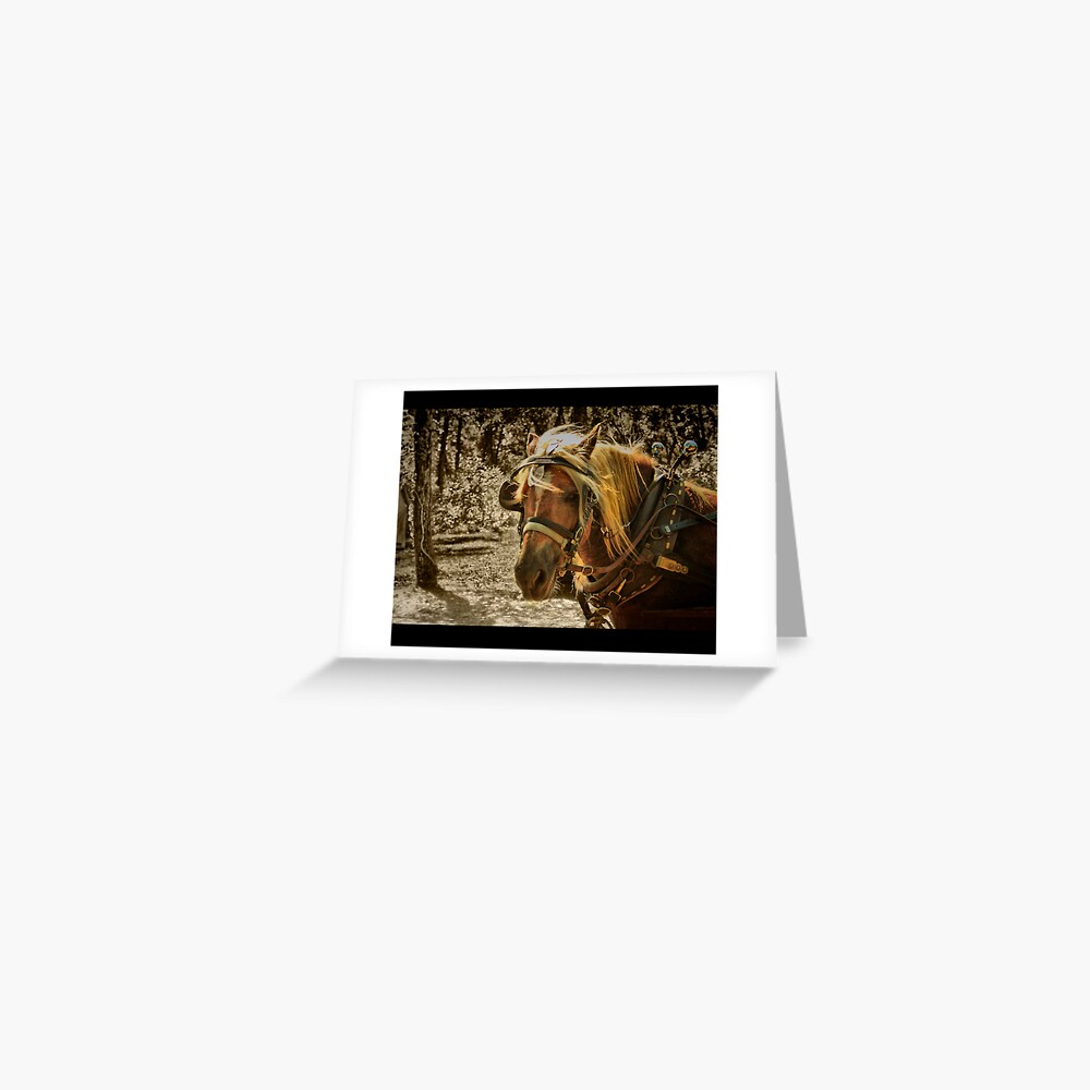 Item preview, Greeting Card designed and sold by believer9.