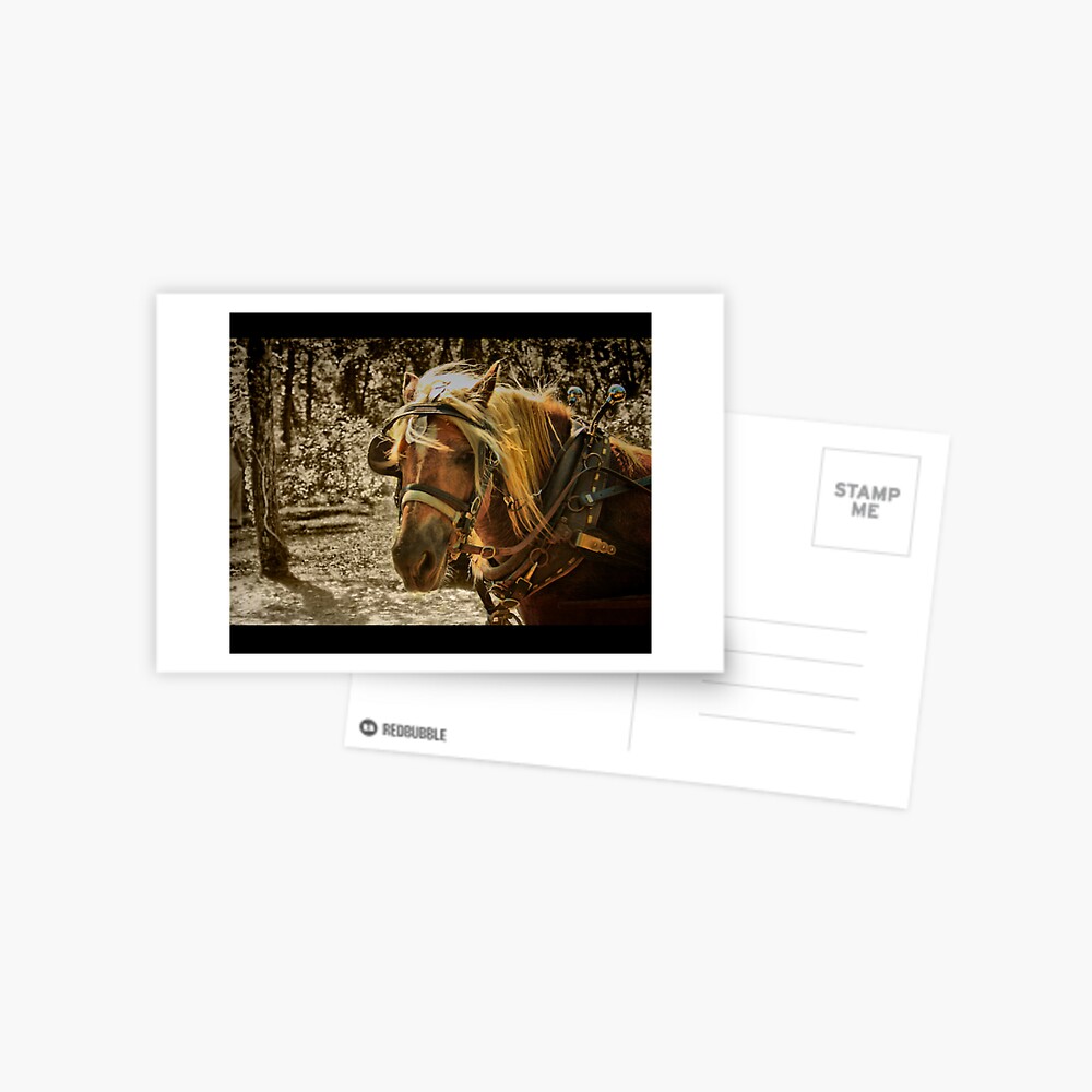 Item preview, Postcard designed and sold by believer9.