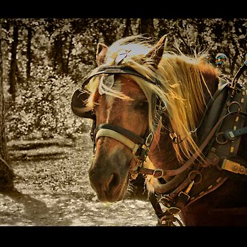 Artwork thumbnail, The Work Horse by believer9