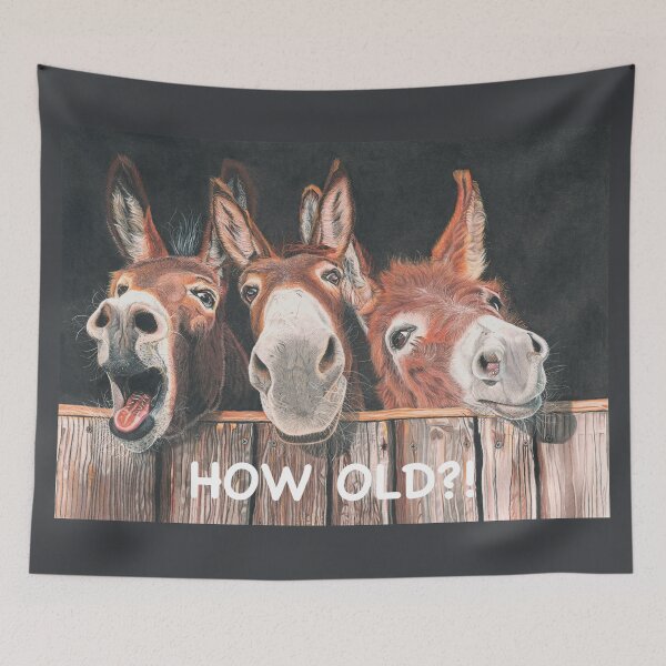Item preview, How Old? Fun Donkeys designed and sold by IslesArt.