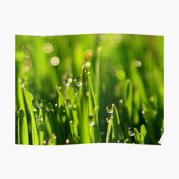 beautiful bubbles of light Poster