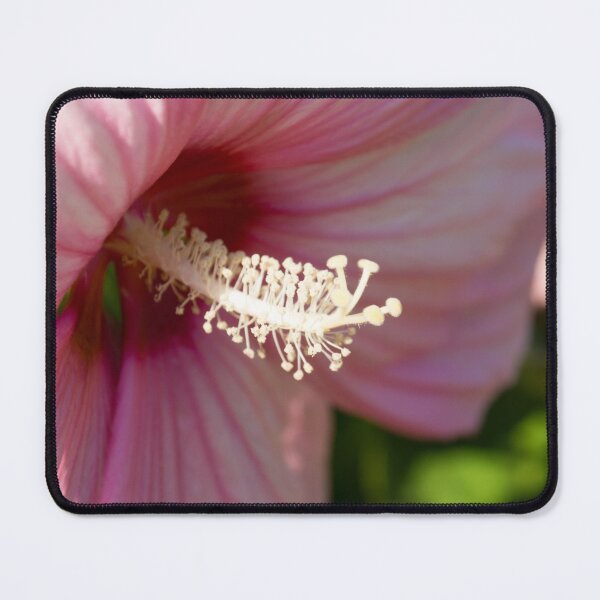 Item preview, Happy Pink Hibiscus with Hot Magenta Center designed and sold by Georgia Mizuleva.