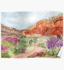 Bright Angel Trail, Grand Canyon Poster
