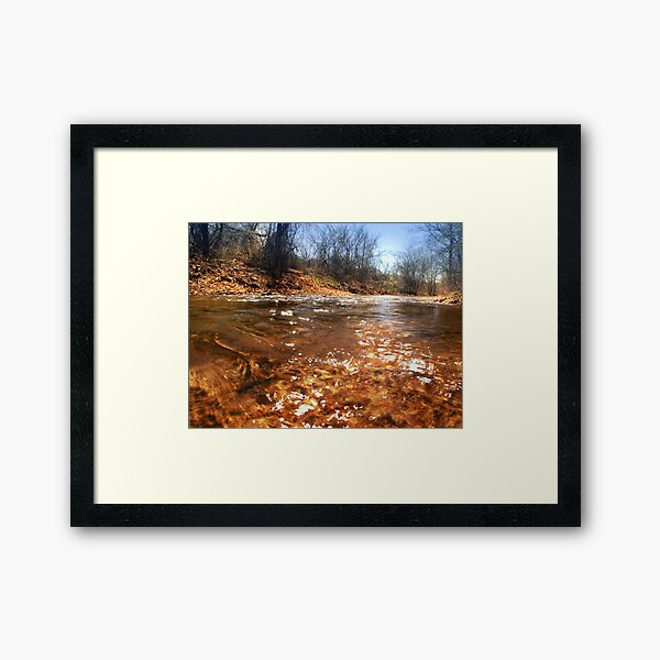 Framed Art Print