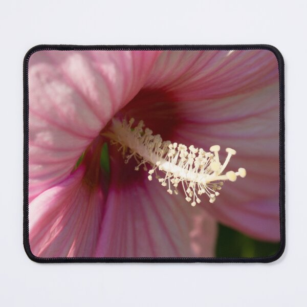 Item preview, Happy Pink Hibiscus with Hot Magenta Centre designed and sold by Georgia Mizuleva.