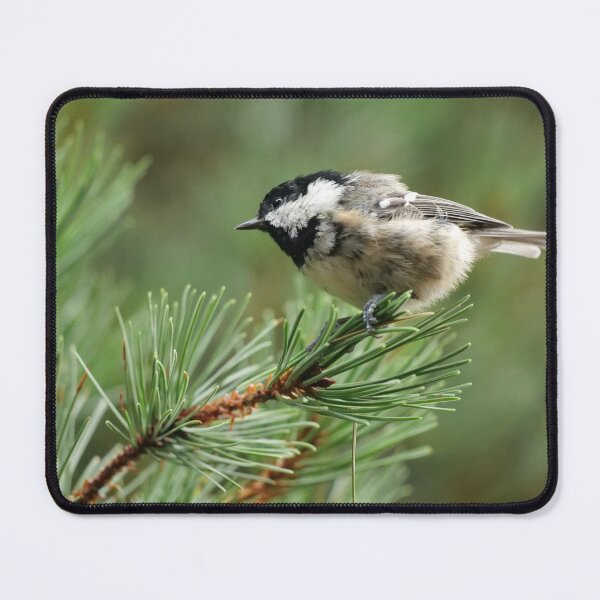 Item preview, Coal Tit designed and sold by ClarkeGreening.