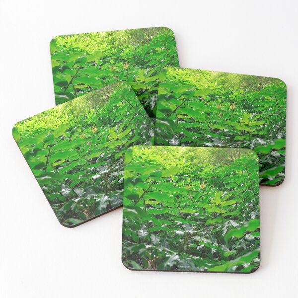 Item preview, Green foliage designed and sold by Gaspar Avila.