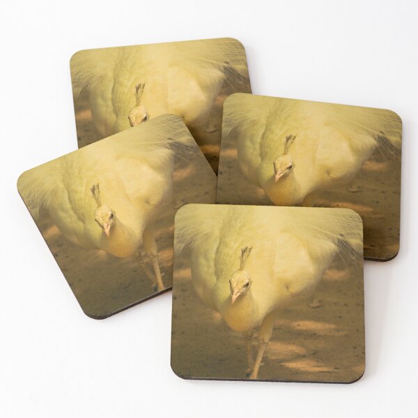 Item preview, White Peafowl Jerez Zoo Vertical designed and sold by eddiebarronshop.