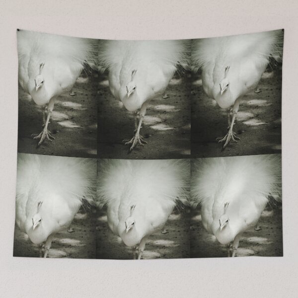 Item preview, White Peafowl Jerez Zoo Vertical Black and White designed and sold by eddiebarronshop.