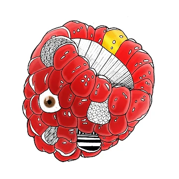 Artwork thumbnail, Freaky Unique Raspberry by hamdrawings