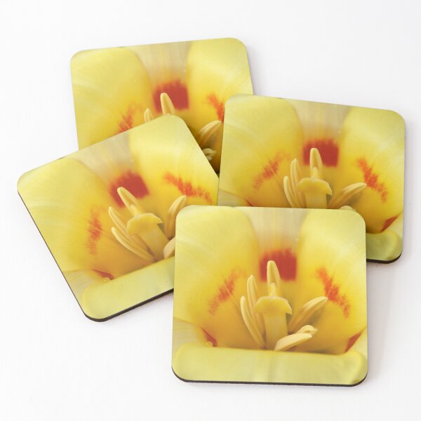 Artikelvorschau, Tulipa 'Gluck' Kaufmanniana Tulpe entworfen und verkauft von Chris Burrows.