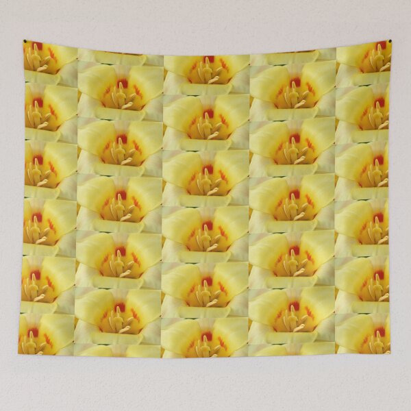 Item preview, Tulipa 'Gluck' Kaufmanniana Tulip designed and sold by Chris Burrows.
