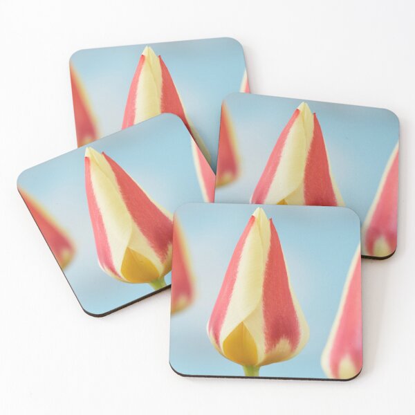 Item preview, Tulipa 'Gluck' Kaufmanniana Tulip designed and sold by Chris Burrows.