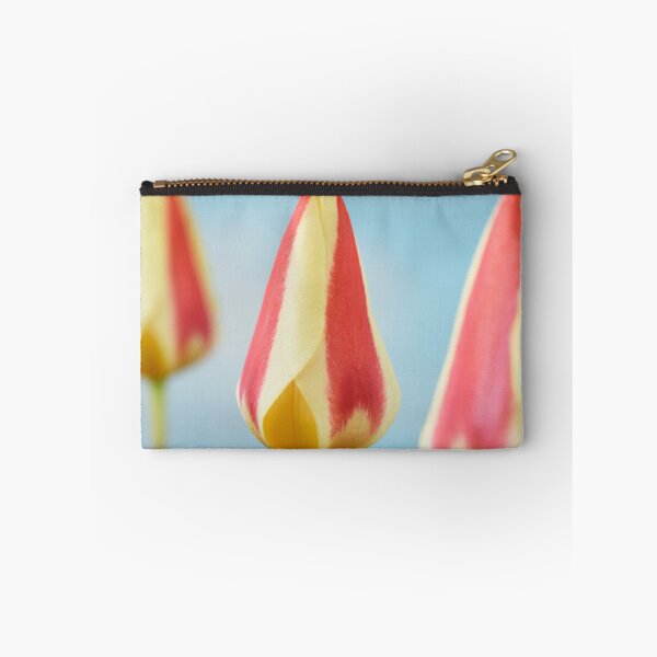 Artikelvorschau, Tulipa 'Gluck' Kaufmanniana Tulpe entworfen und verkauft von Chris Burrows.