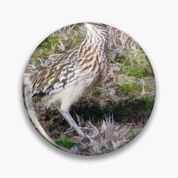 Item preview, Winter Sighting Of The Greater Roadrunner designed and sold by Debra Martz.