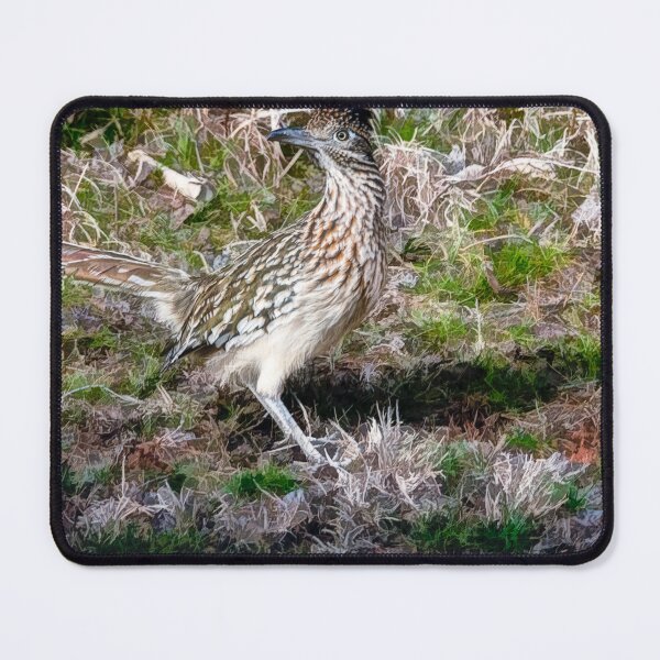 Item preview, Winter Sighting Of The Greater Roadrunner designed and sold by Debra Martz.