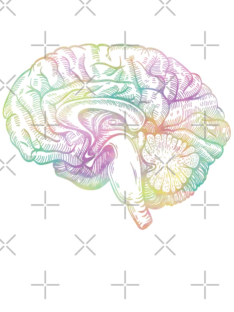 Brain Picture for Classroom / Therapy Use - Great Brain Clipart