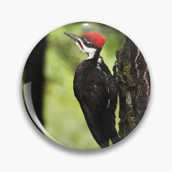 Item preview, Woody Woodpecker designed and sold by Debbie Oppermann.