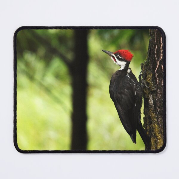 Item preview, Woody Woodpecker designed and sold by Debbie Oppermann.