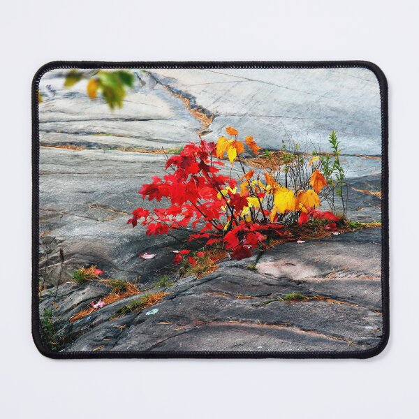 Item preview, Dash Of Red And Gold designed and sold by Debbie Oppermann.