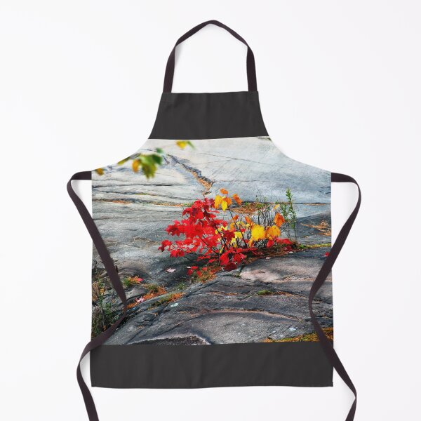 Item preview, Dash Of Red And Gold designed and sold by Debbie Oppermann.