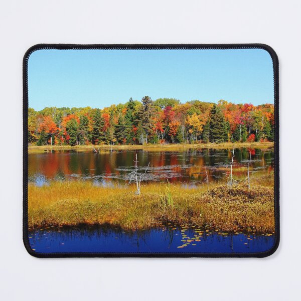Item preview, Fall Marsh designed and sold by Debbie Oppermann.